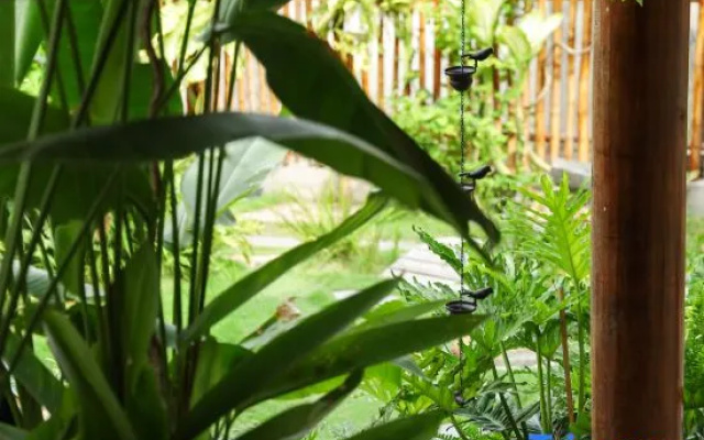 Quan Tro Thanh Xuan Homestay