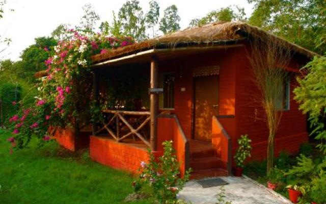 Sunderban Tiger View Point