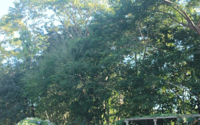 Tanager Rainforest Lodge