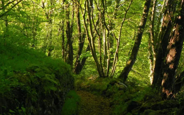 Balcony Lake View Apartment