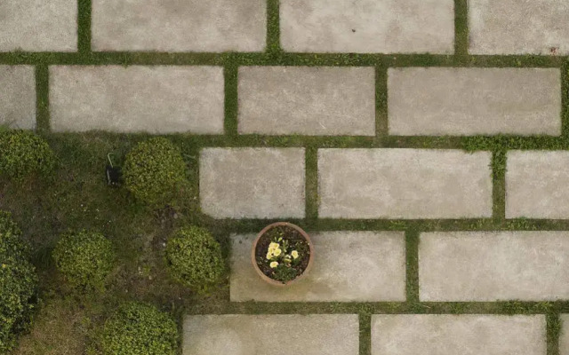 La Casa de Las Camelias