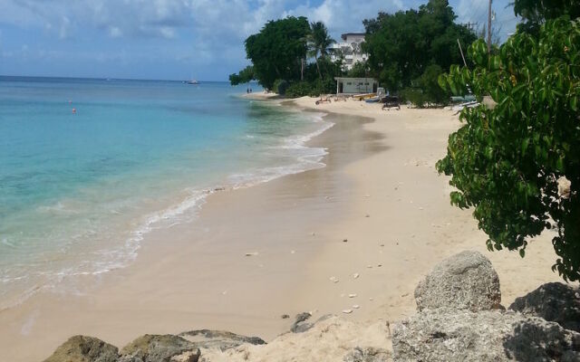 Coral Lane Beach Apartments