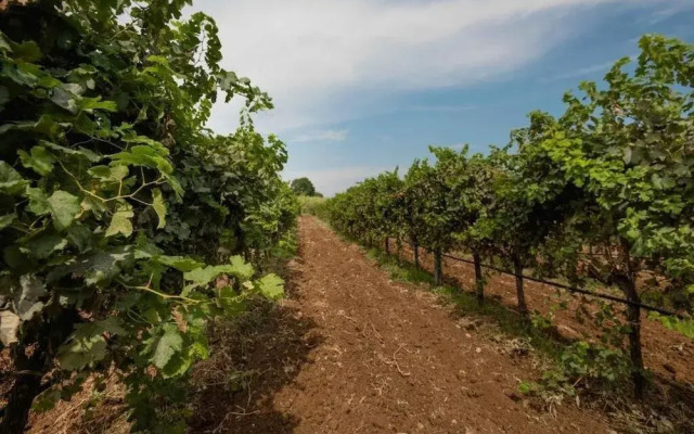 Antico Borgo Molino 7cento