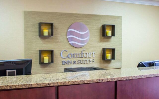 Comfort Inn & Suites Trussville I-59 exit 141