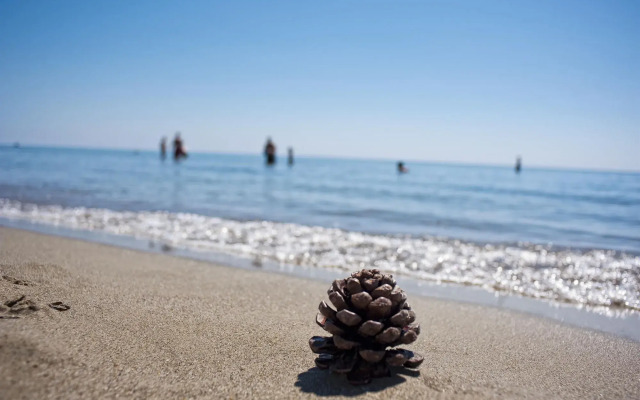 Masseria Macchia & Relais San Pio