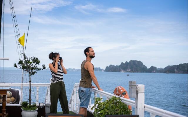 Swan Boutique Cruises