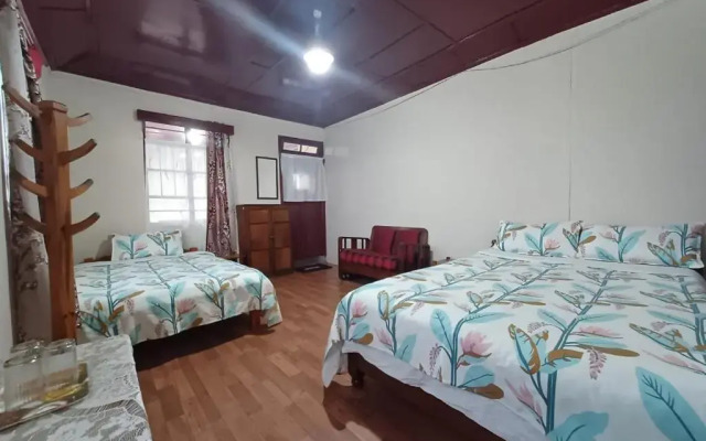Odyssey's Pateng Homestay, Cherrapunji