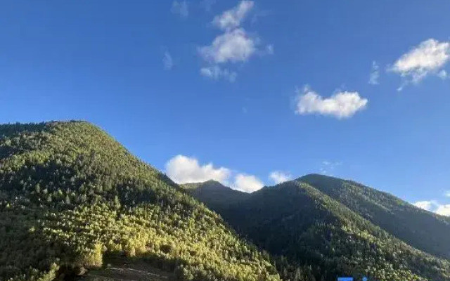 Mt. Siguniang BuYan Homestay