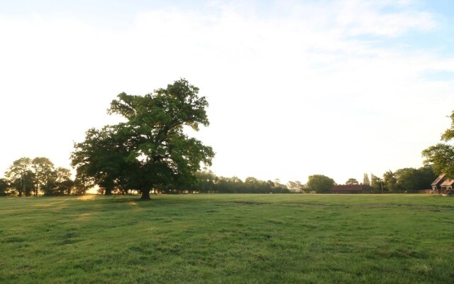 The Bull Pen