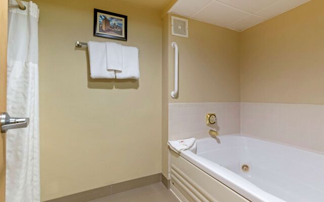 Comfort Inn Mechanicsburg - Harrisburg South