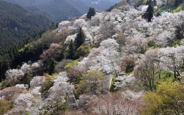 Ryokan Kato - Yoshino