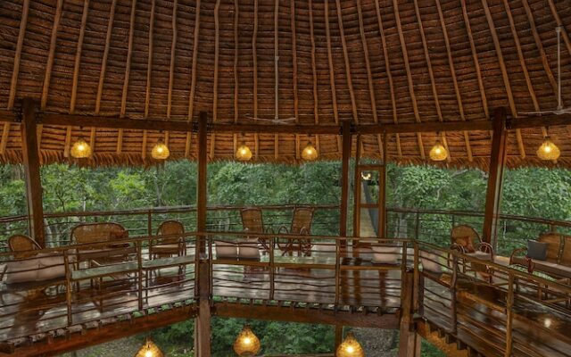 Treehouse Lodge