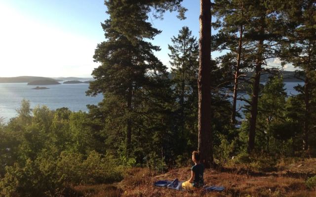 Anfasteröd Gårdsvik
