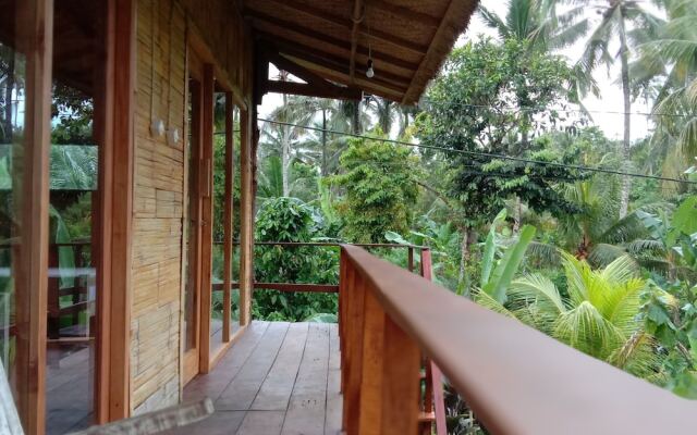 Jungle House - surf & stay
