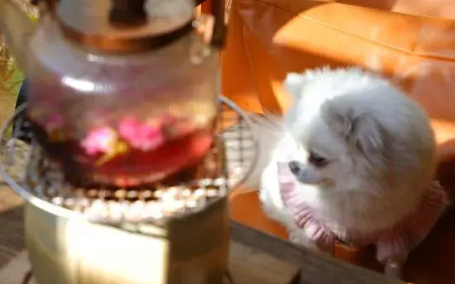 Qixianli Homestay (Yiwu International Trade City)