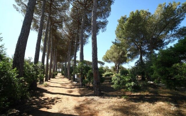 Masseria Gialli