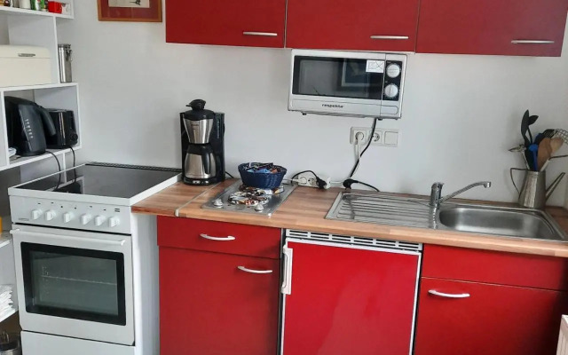 Kunstoase am blauen Haus