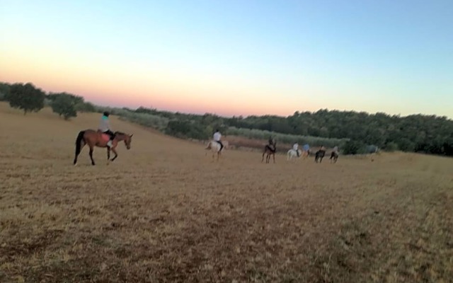Agriturismo Fasano