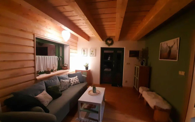Zelený Jelen - horský apartmán