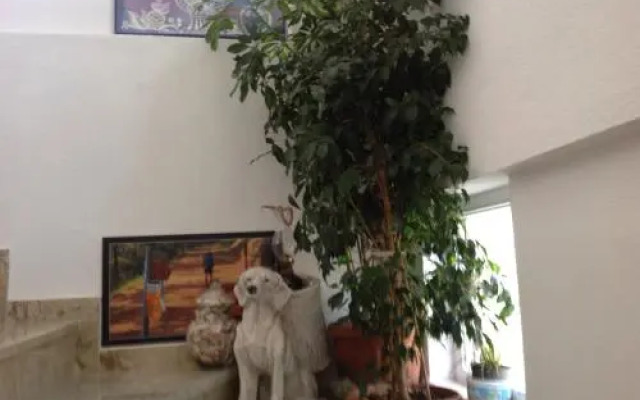 Öz Likya Pension