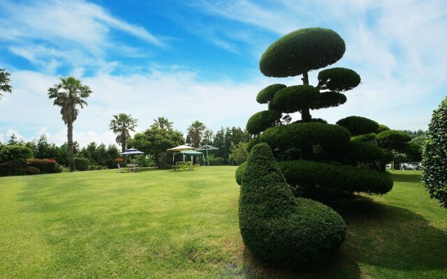Jeju Dioville