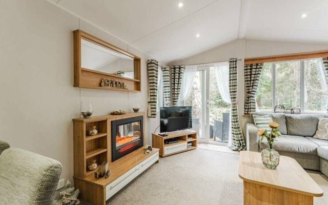 Sea Squirrel - Kelling Heath Holiday Park - 15856