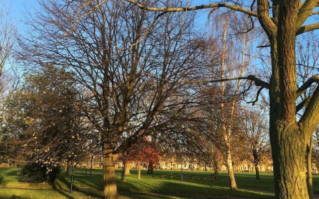 Bright Flat With Hackney Park Views