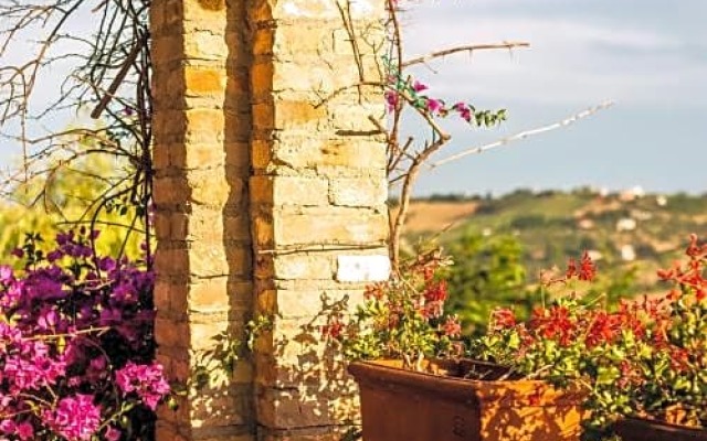 Collina dei Ciliegi b&b
