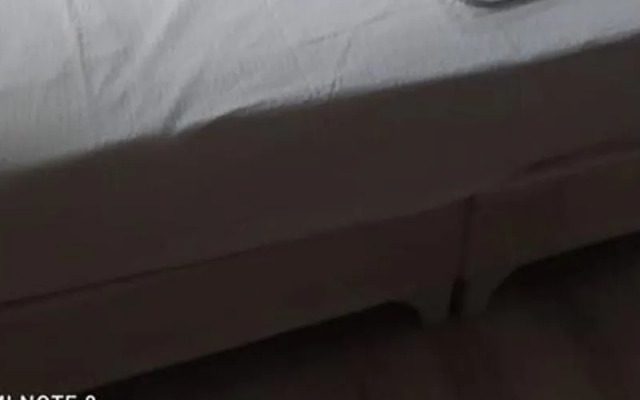 Expert Otel