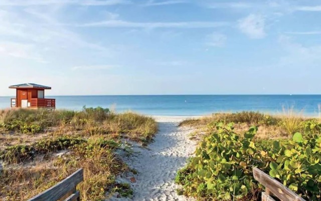 Amazing Apartment,hallandale Beach, Walk to Ocean!