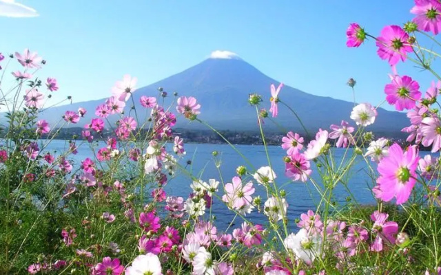 Wilderness Park Lodge – Outside – Fujikawaguchiko