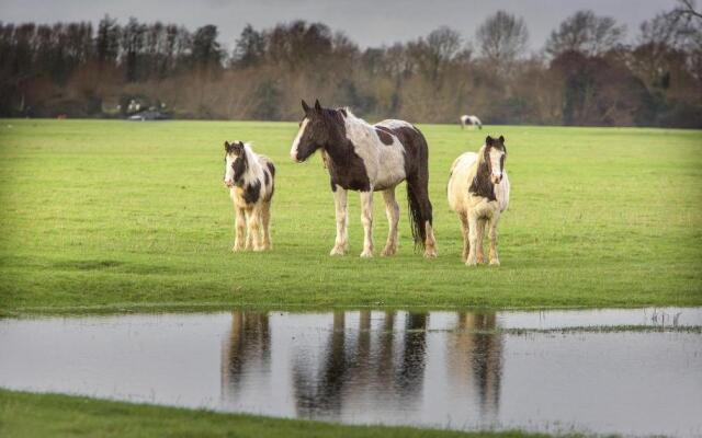 Brookview 2BR Flat Oxford City Centre Free Parking