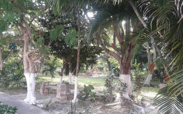 Casa Luz Verde