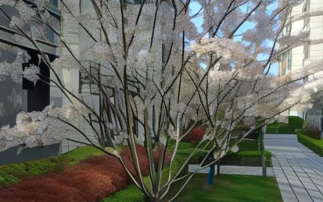 Longzhimeng Yinhu Homestay