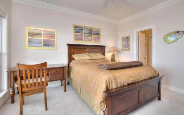 Stranded Indolphinitely