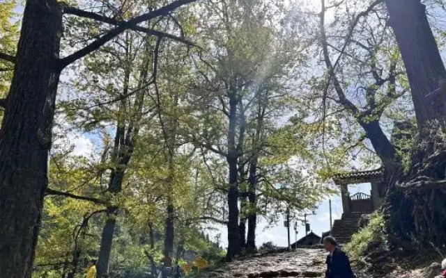 Panzhou Seven-color Hotel