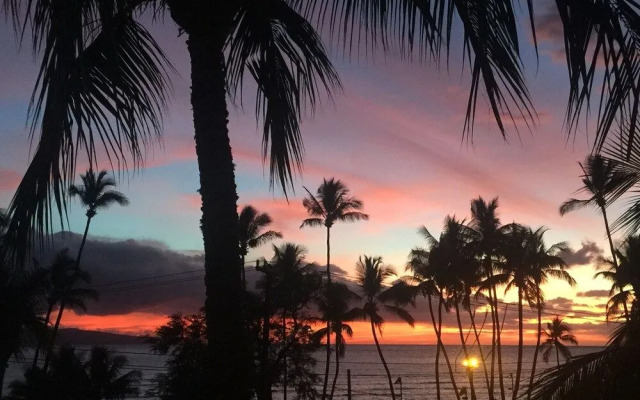 Island Surf 409 - 1 Br Condo