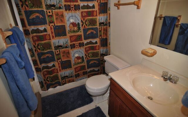 Bear`s Den - Northface