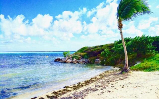 Studio Hibiscus Le Kayela