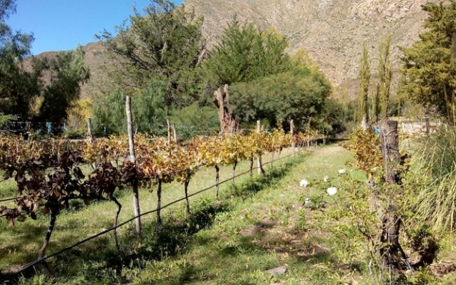 Casa de Campo La Paya