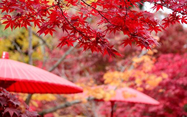 Comfort Inn Kyoto Shijokarasuma