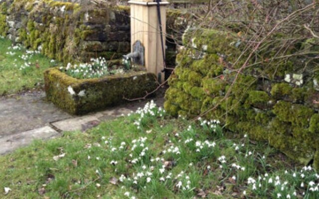 West Leas Farm
