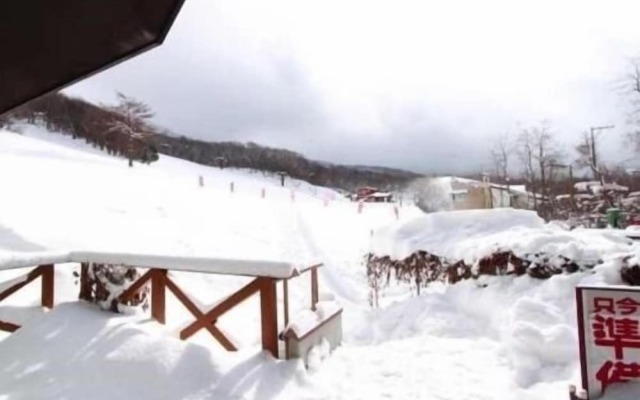 Lodge Christmas Rose ZAO