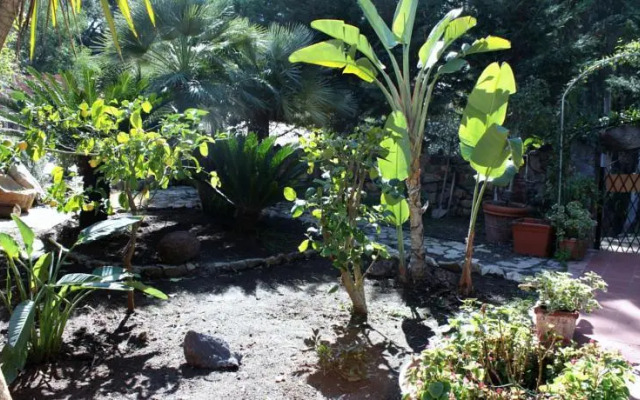 B&B Baia Delle Stelle