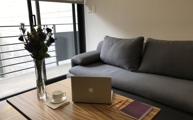 Amazing Apartment in Reforma