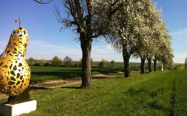 Ferienwohnungen Haus Sauer
