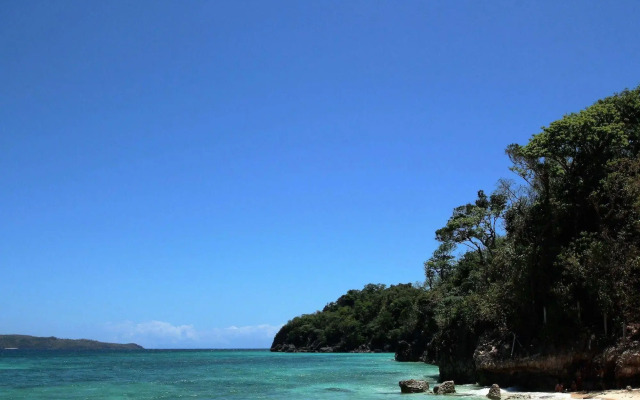 Green Monkey Resort