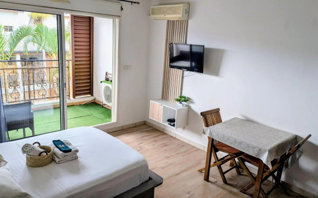 Studio climatisé proche aéroport, navette