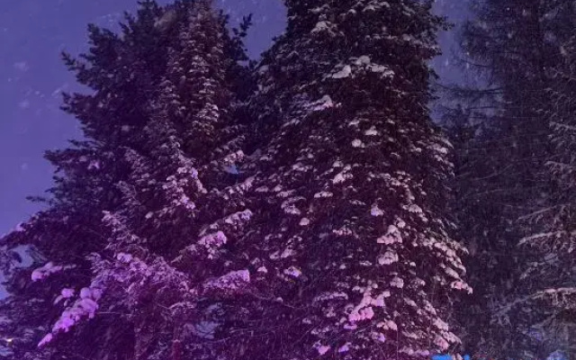 Li San Homestay (Snow Town Scenic Area)