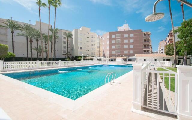 093 - Mil Palmeras Dream